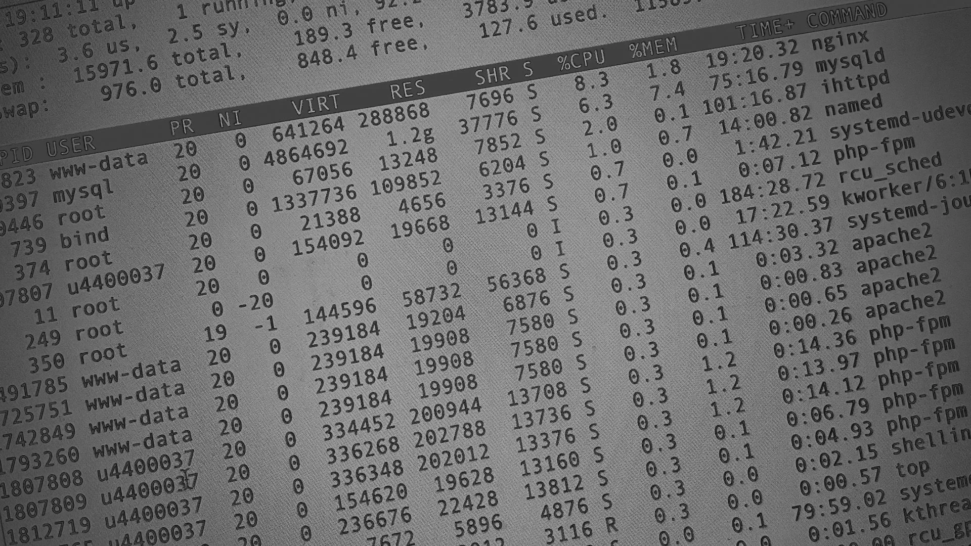 Настройка сервера в Белоозёрском