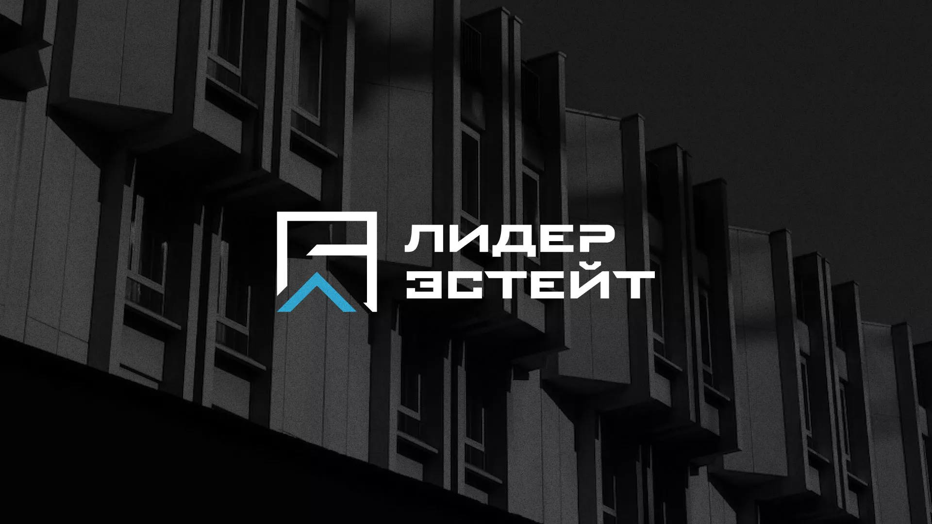 Разработка логотипа агентства недвижимости «Лидер Эстейт» в Белоозёрском